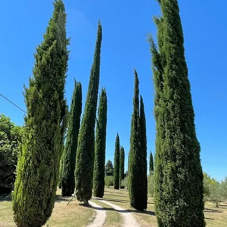 Des Perrines Pernes-les-Fontaines